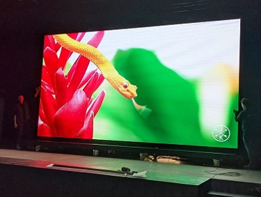 P3.91 LED-videoskjerm for en scene i Europa